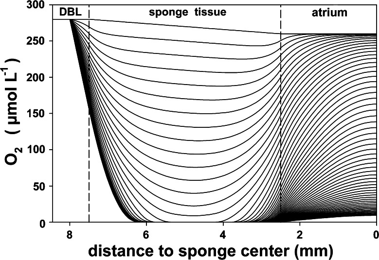 Fig. 7