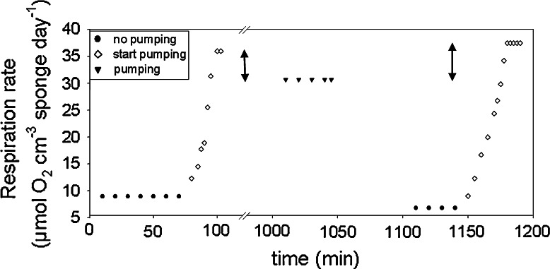 Fig. 2