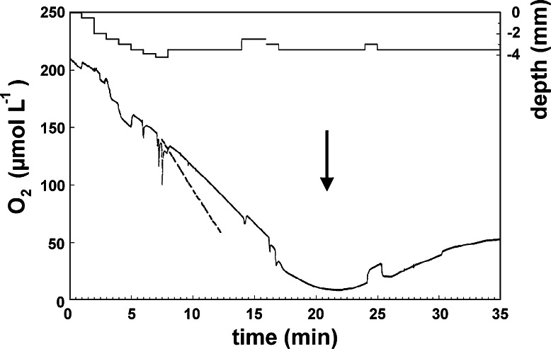 Fig. 4