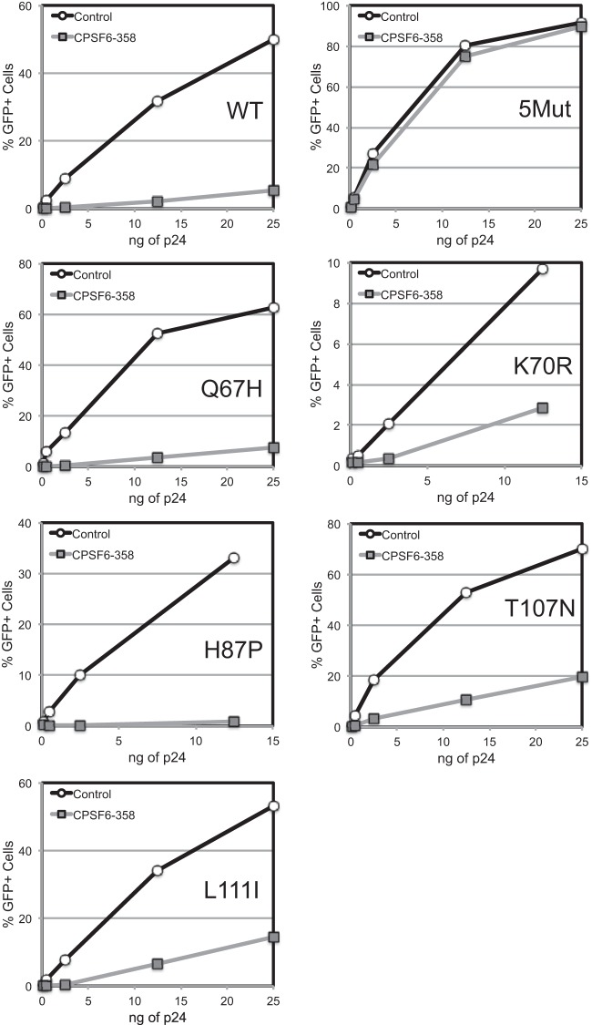 FIG 6