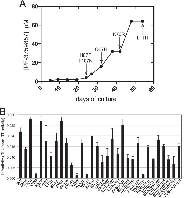 FIG 1