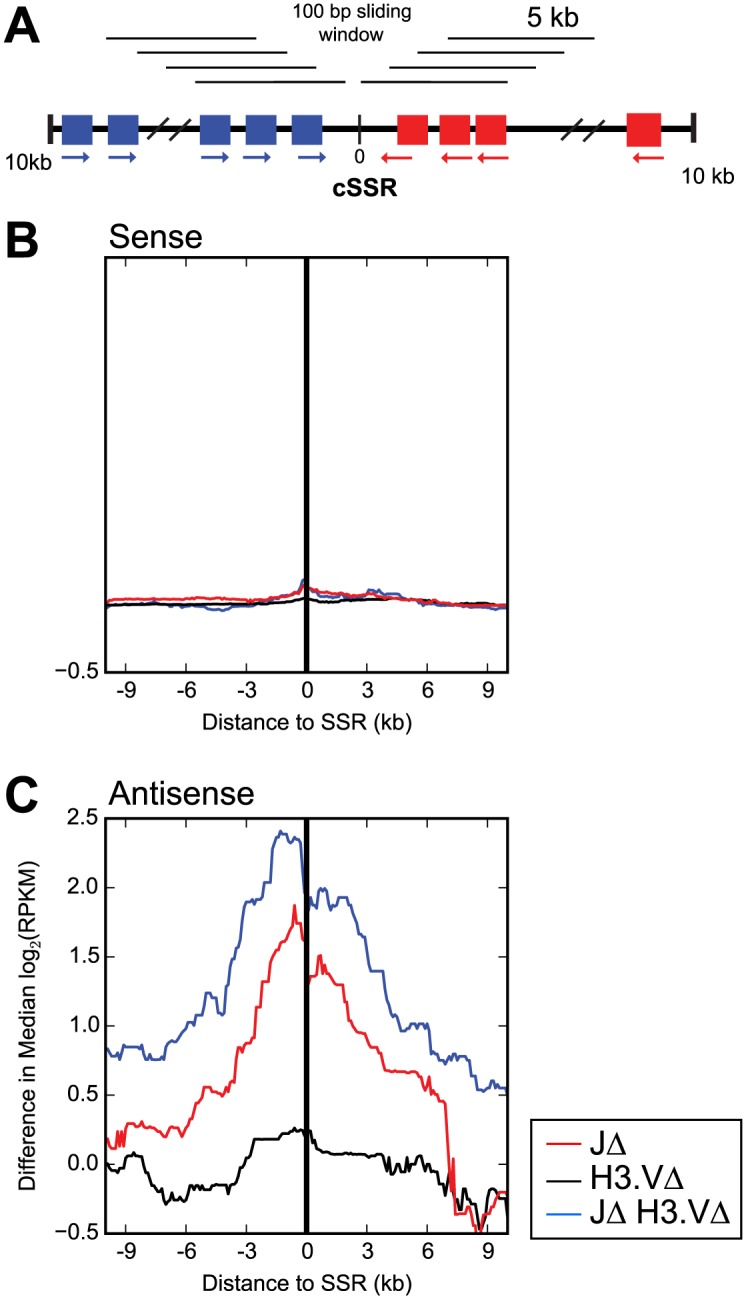 Fig 5