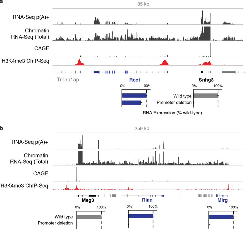 Extended Data Fig. 3.