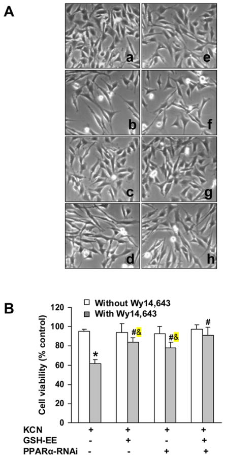 Fig. 9