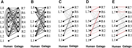 FIG. 3.—