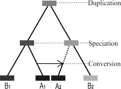 FIG. 1.—