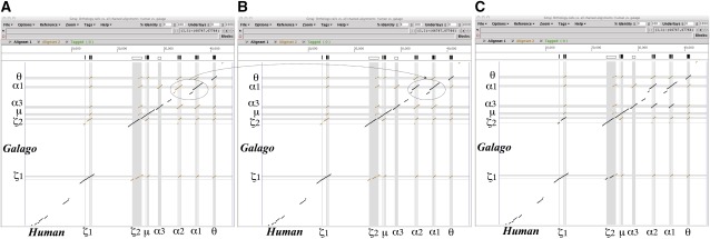 FIG. 4.—