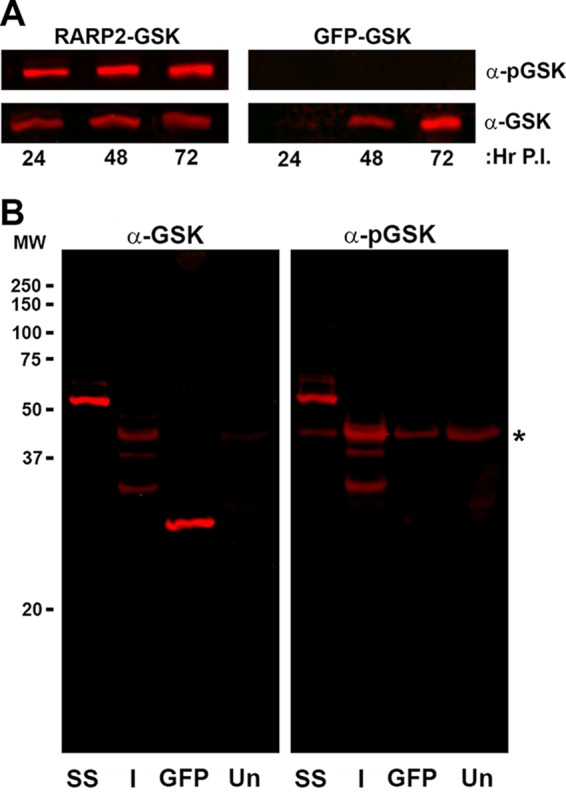 FIG 6 