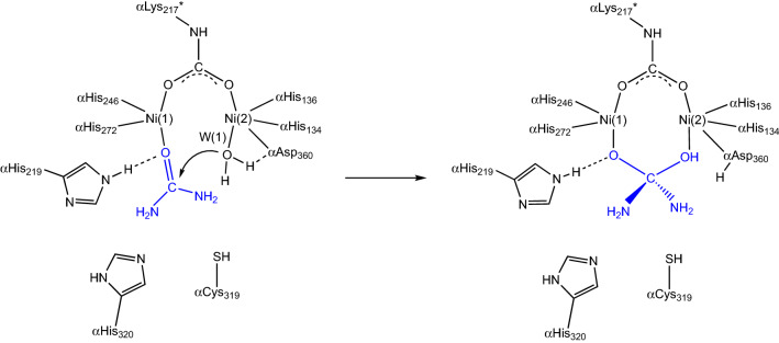 Scheme 4.