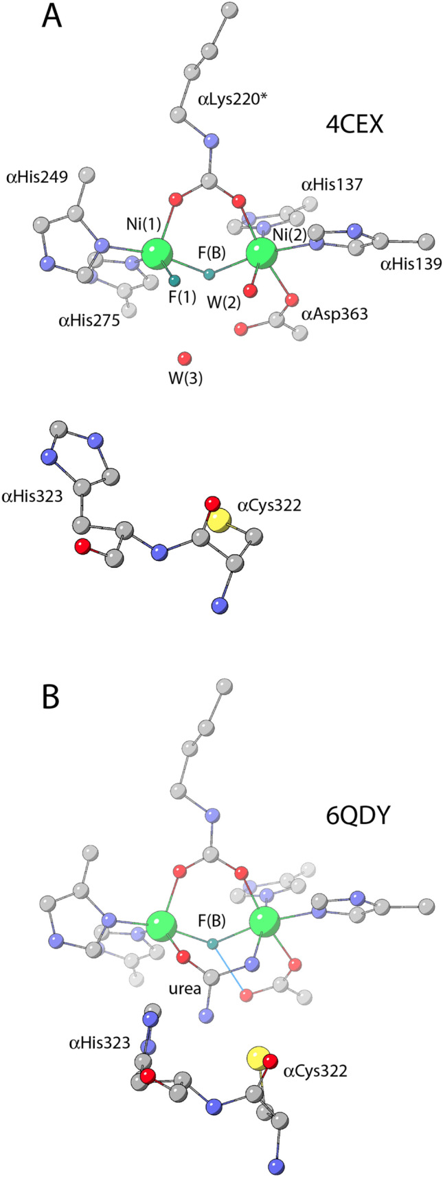 Fig. 5