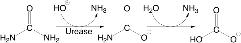 Scheme 1.