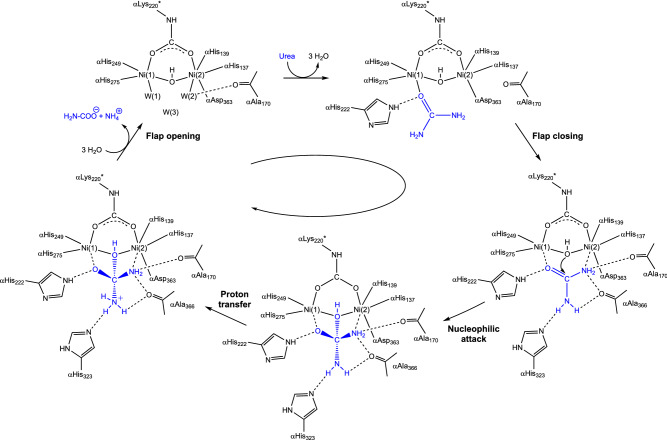 Scheme 6.