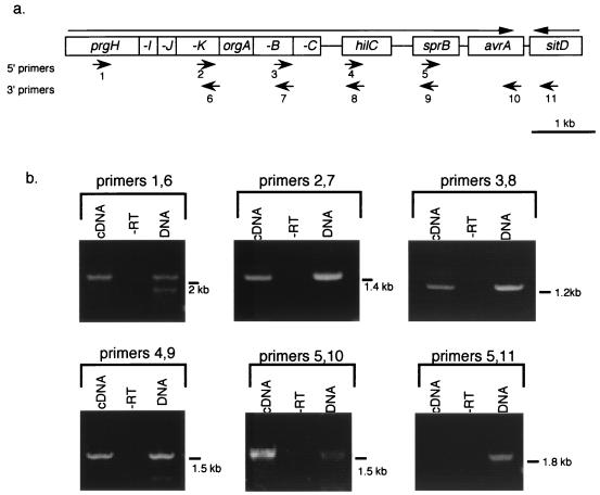 FIG. 3