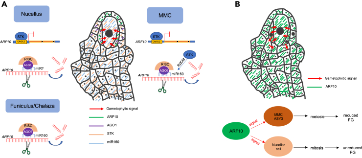 Figure 6