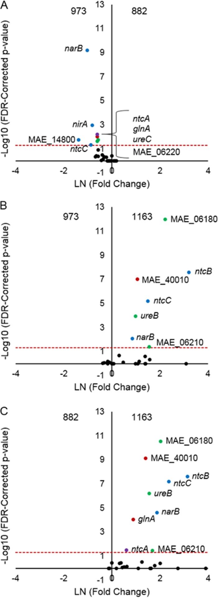 FIG 6