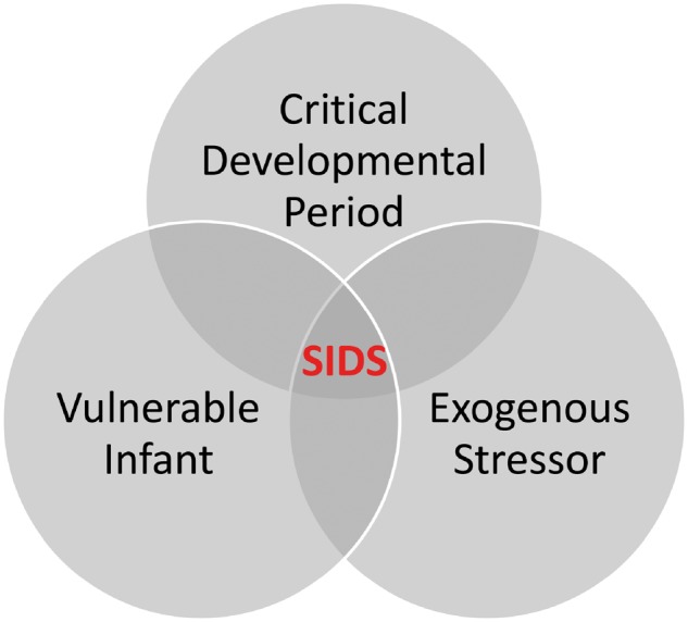 FIGURE 1.