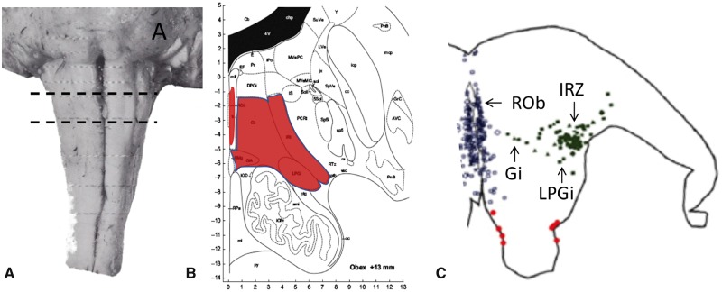 FIGURE 2.