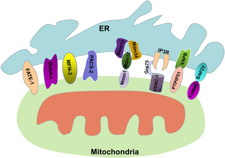 FIGURE 1