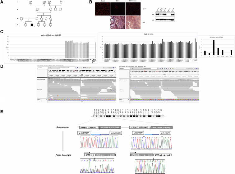 Figure 6