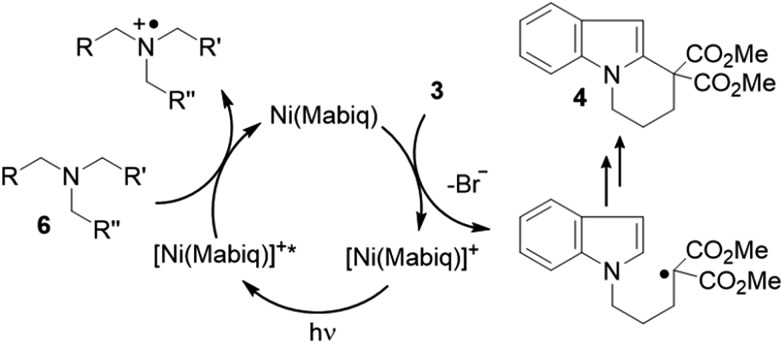 Scheme 3