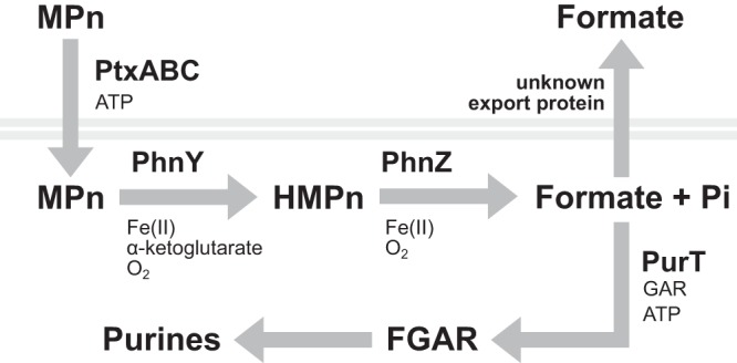 FIG 5