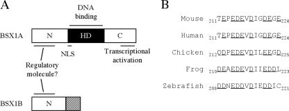 FIG. 8.