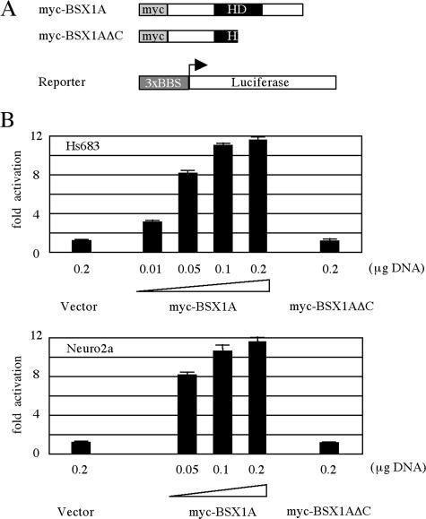 FIG. 6.