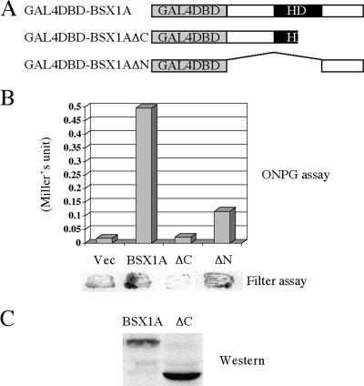 FIG. 5.