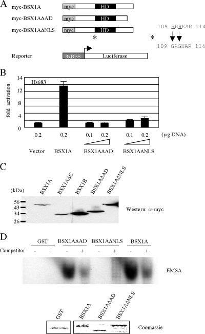 FIG. 7.