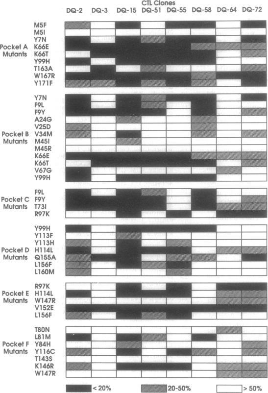 graphic file with name pnas01100-0323-a.jpg