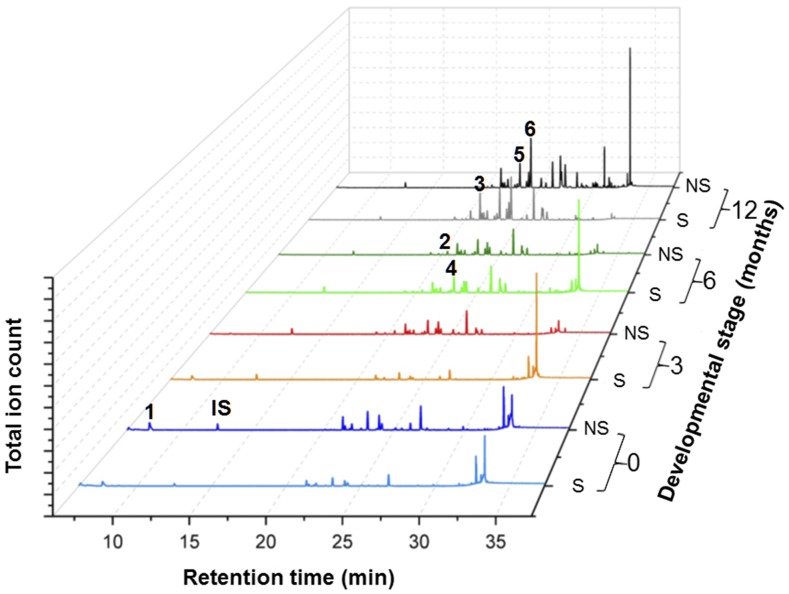 Figure 2.