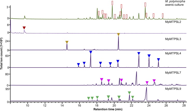 Figure 5.