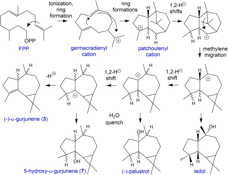 Figure 7.