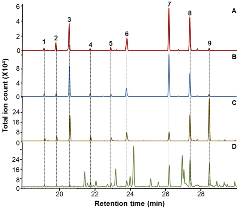 Figure 6.