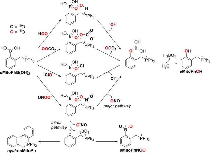 Figure 10.