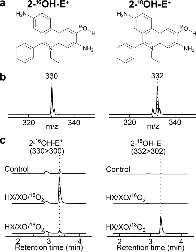 Figure 11.