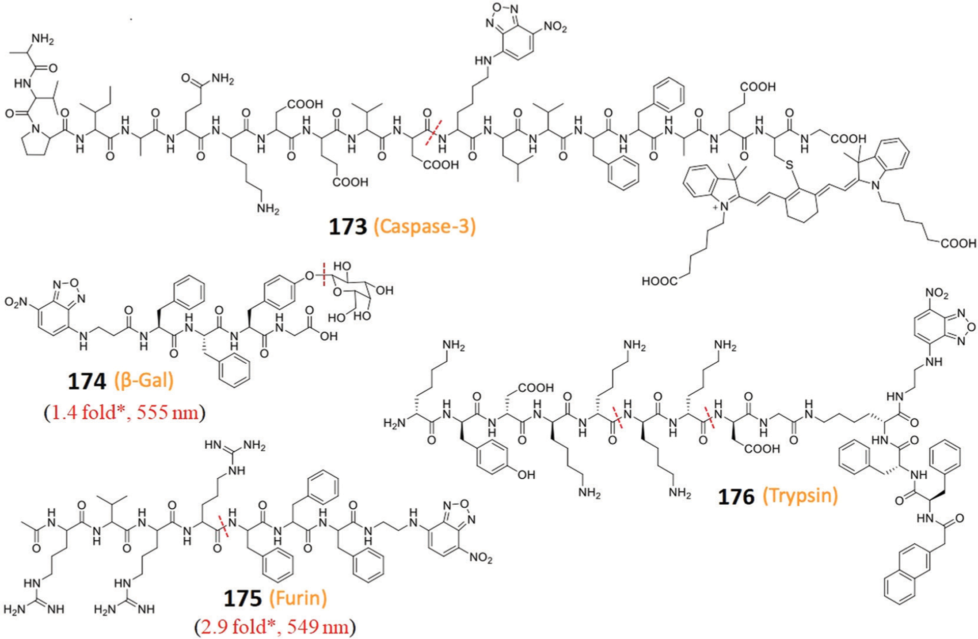 Fig. 64