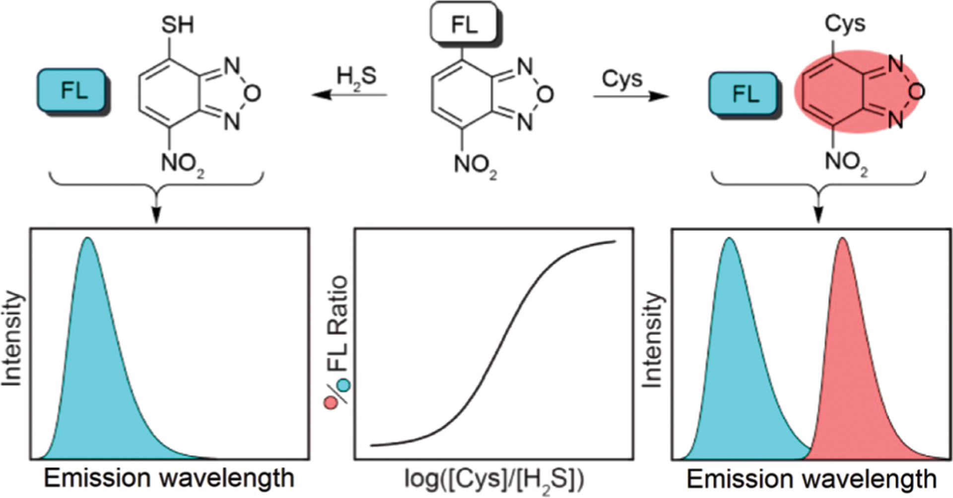 Fig. 12