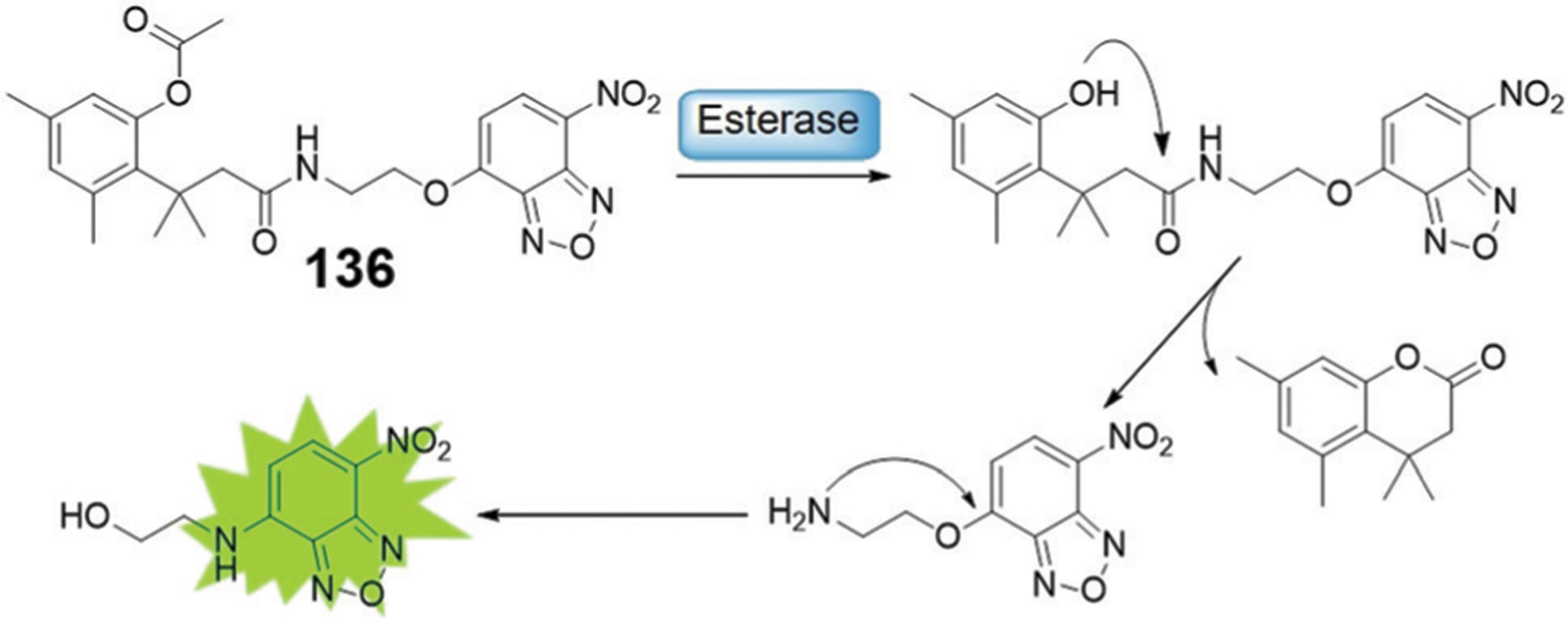 Fig. 40