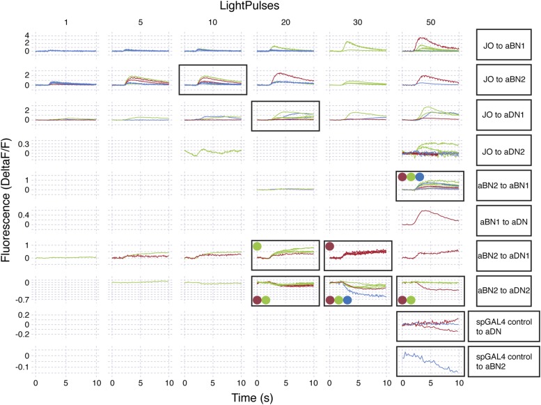 Figure 6—figure supplement 3.