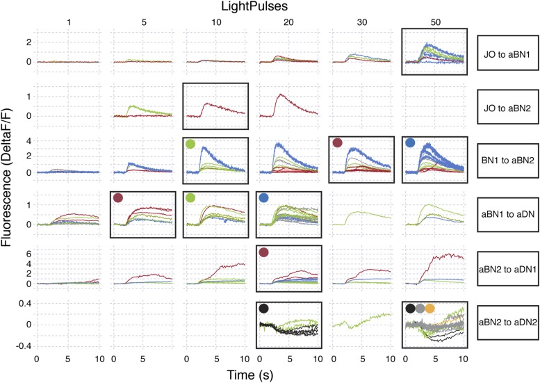 Figure 6—figure supplement 2.