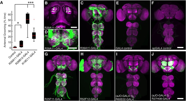 Figure 1—figure supplement 1.