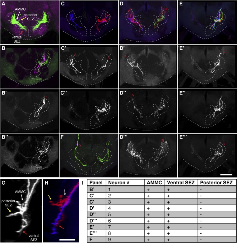 Figure 1—figure supplement 4.