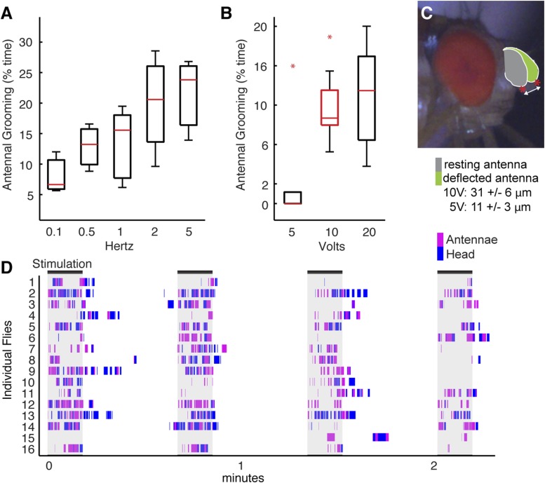 Figure 4—figure supplement 3.