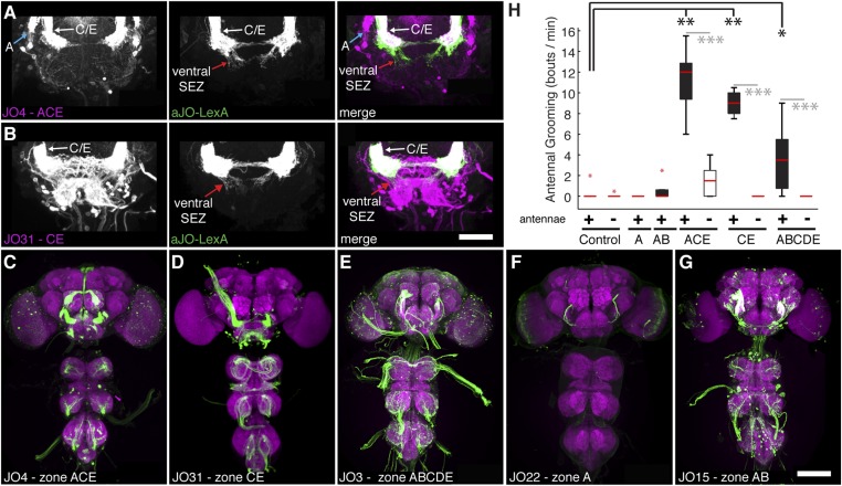 Figure 1—figure supplement 3.