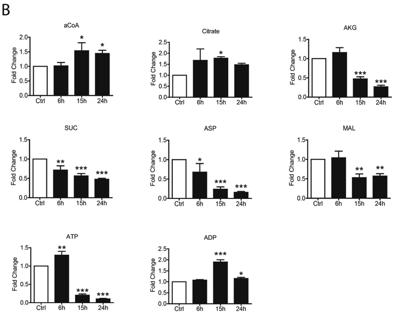 FIG 4.