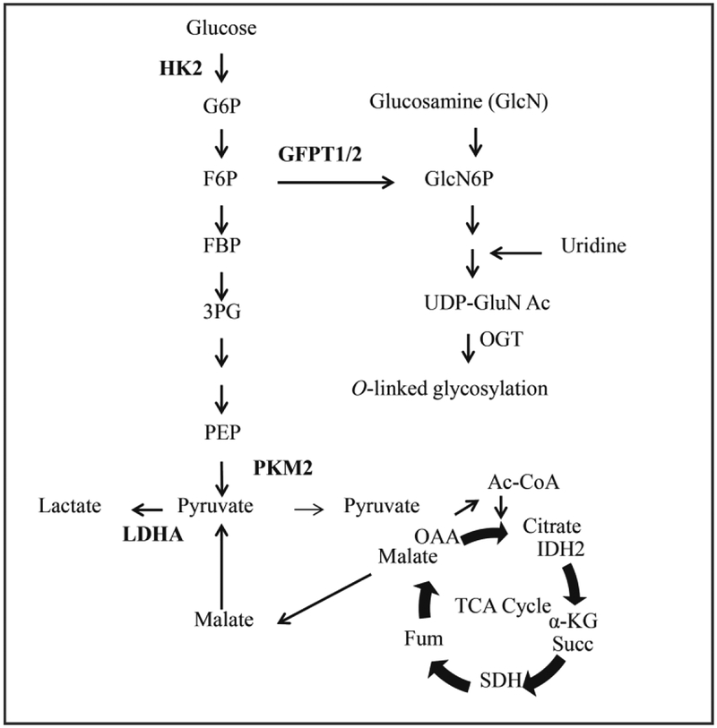 Fig 8.