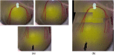 Fig. 10
