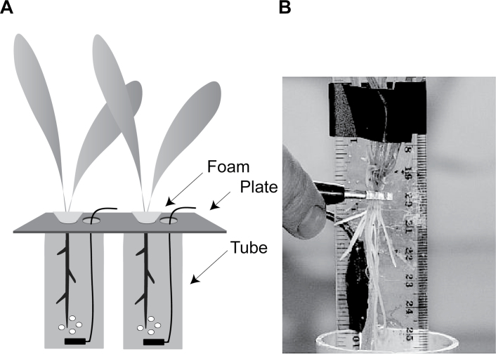 Fig. 2. 