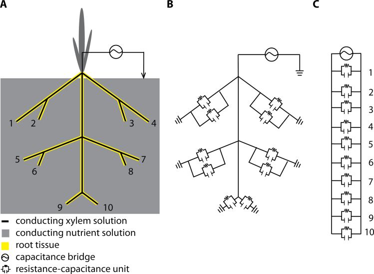 Fig. 1. 